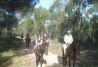 Rutas guiadas a caballo