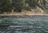 Excursiones en kayac