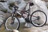 Alquiler de bicicletas