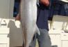 Pesca deportiva Lanzarote