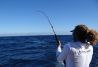 Pesca en Lanzarote