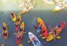 Descenso en canoa por el Rio Cabriel