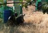 Paintball