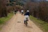 Alquiler y rutas en bicicleta