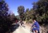 DESCENS DE MOUTAIN BIKE