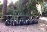 Excursiones en Segway