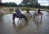 abrevando a los caballos