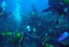 salida de buceo