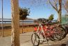 Alquiler de bicicletas