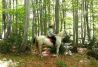 Rutas a caballo