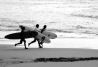 SURF 
