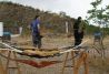 Tiro con arco