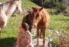 En armonía con los caballos.