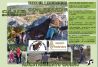 Treking con perros. Senderismo