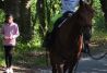 Monta natural. Clases de monta