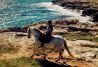 Rutas a caballo