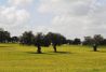 Naturaleza