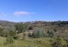 Paintball en el Priorat