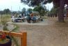 Zona picnic