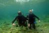 Cursos de buceo