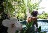 Jardín Oriental