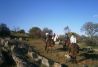 Paseos a caballo