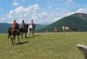 Paseos a caballo