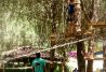 AVENTURA EN LOS ÁRBOLES