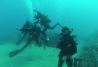 Cursos de buceo