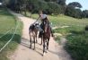 Disfruta de los caballos con nosotros