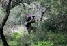 PAINTBALL