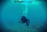 Cursos de buceo