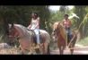 Paseos a caballo