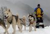 TRINEOS DE PERROS EN EL VALLE DE TENA