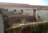 Airsoft Almoroxball