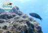 Centro de buceo en Lanzarote