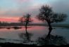 Atardecer en Doñana