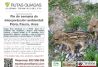 Interpretación Ambiental
