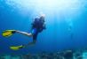 Buceo