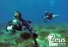 Zeus Dive Center sidemount en Arinaga