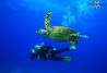 Bautizo de Buceo con Tortugas