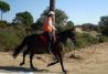 Paseos a caballo