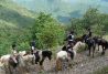 rutas a caballo por el pirineo