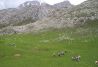 Senderismo, trekking