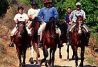 Caballos del Arlanza