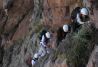 Escalada y Vía Ferrata
