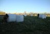 Campos de paintball