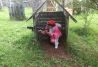 paintball laser