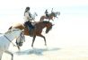 Pasea a caballo por las playas vírgenes