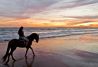 Alli, donde el cielo y el mar se unen
